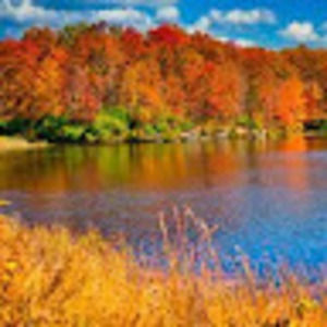 Meet your Posher, Marcella